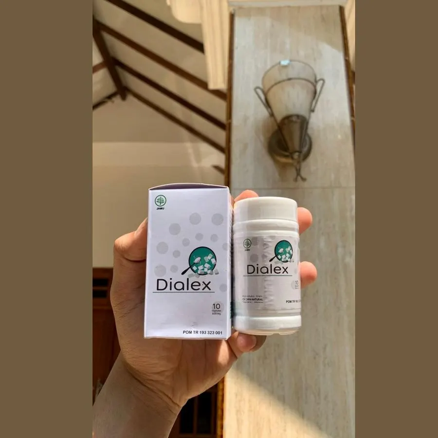 Dialex – 3