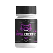 HomoErectus – 3