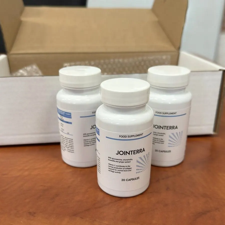 Jointerra – 3
