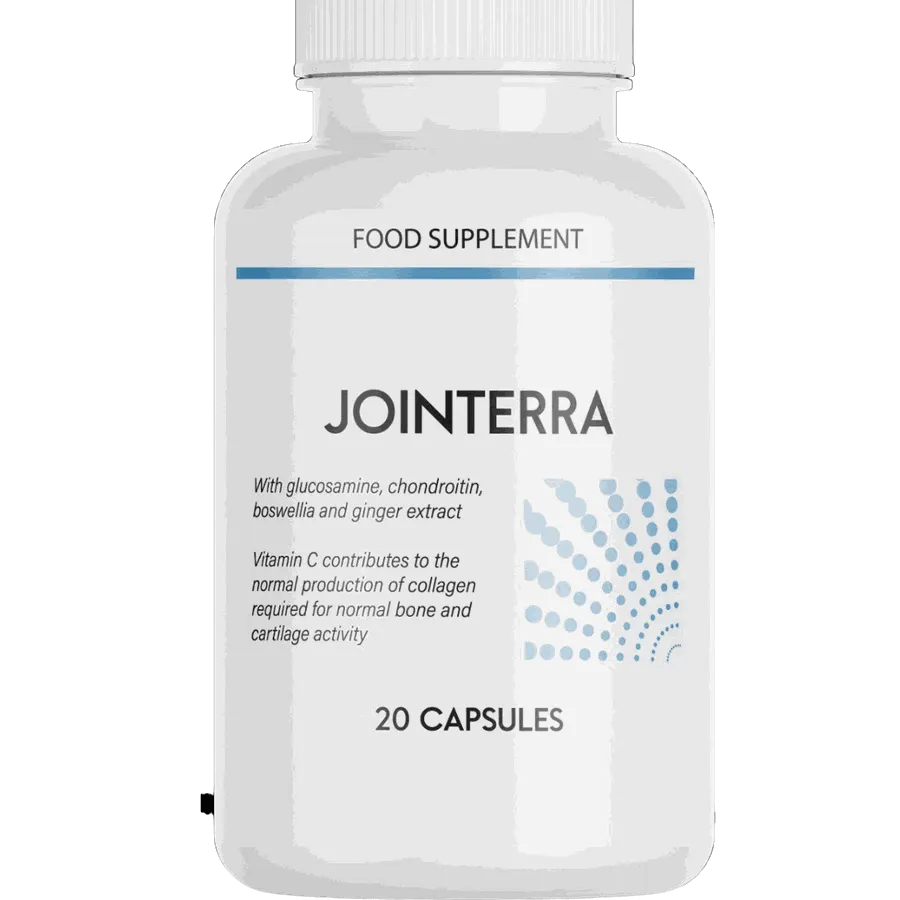 Jointerra – 4