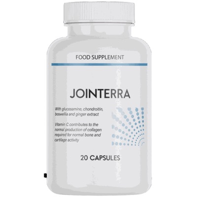 Jointerra