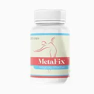 MetaFix – 3
