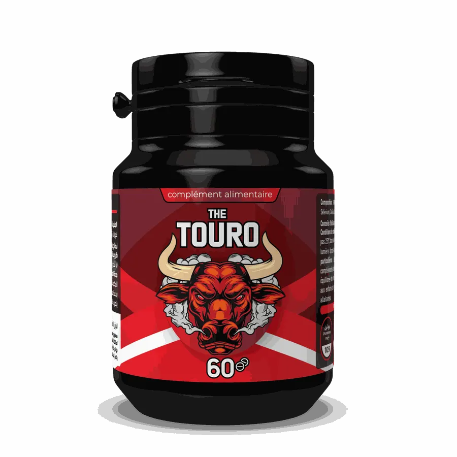 The Touro – 3