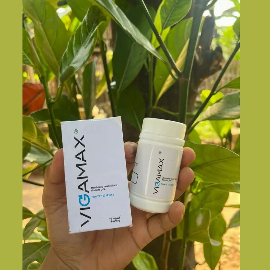 Vigamax – 3