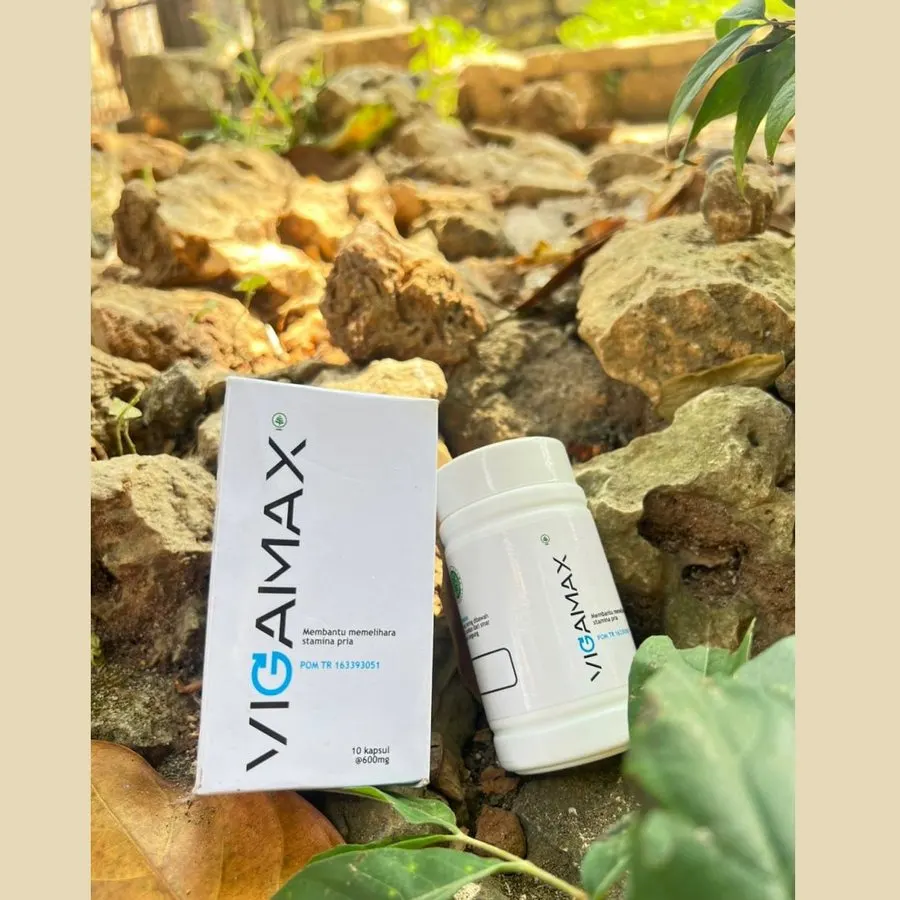 Vigamax – 4