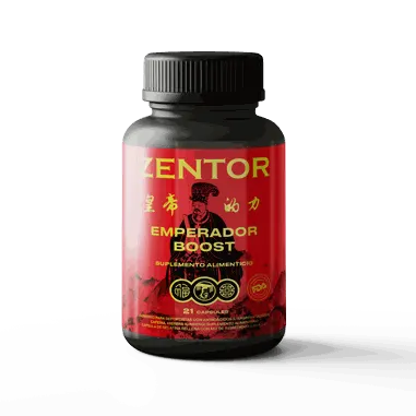 Zentor – 2