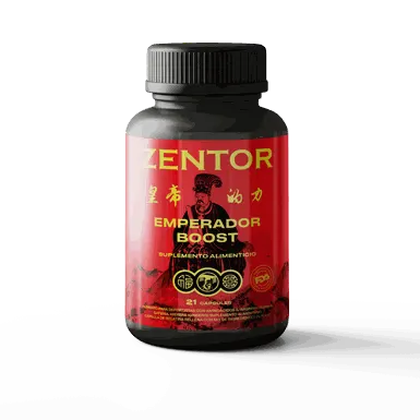 Zentor – 3