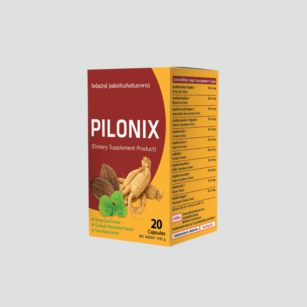 Pilonix - Image 3